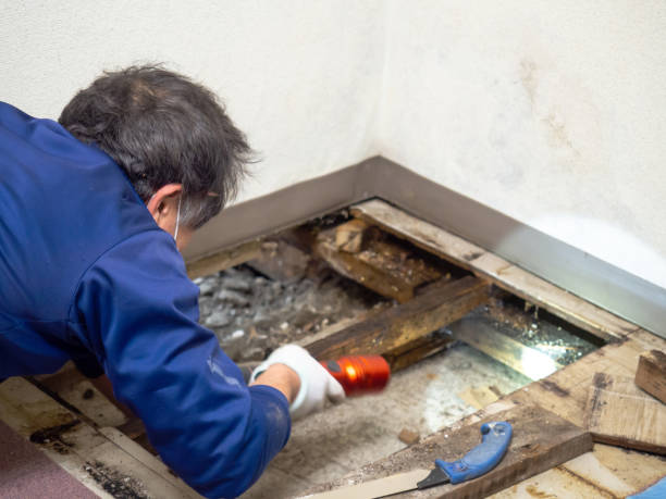 Best Office Mold Removal Services  in Mendota, CA