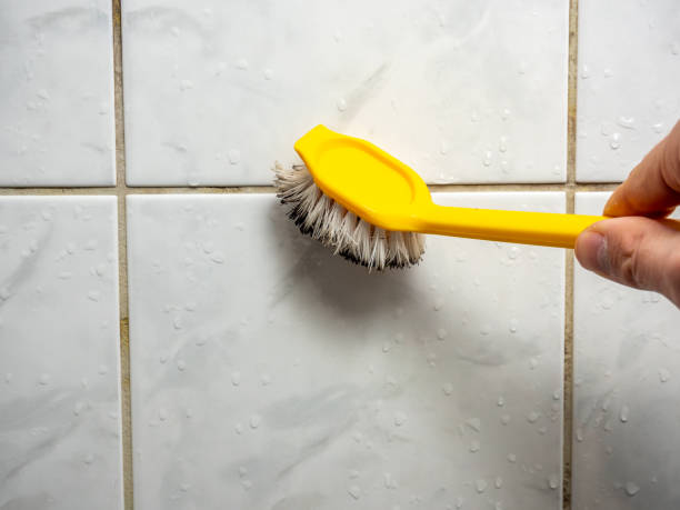 Best Mold Cleaning Services  in Mendota, CA