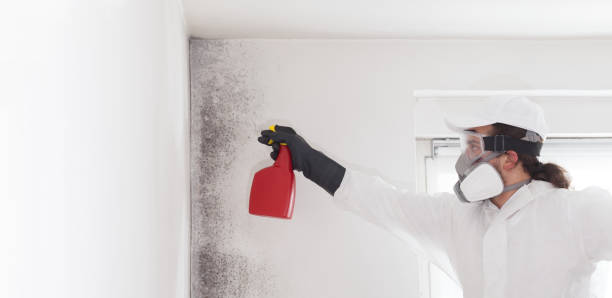 Best Residential Mold Removal  in Mendota, CA
