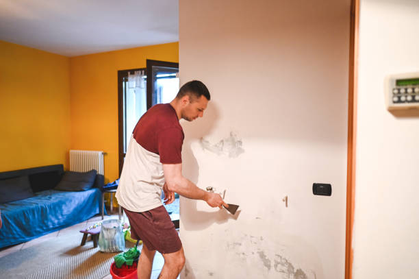 Best Same-Day Mold Removal  in Mendota, CA